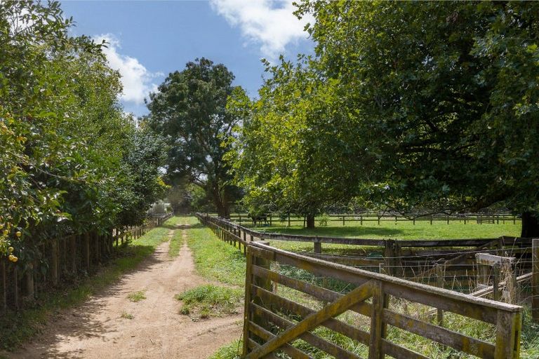 Photo of property in 59 Fuchsia Lane, Tamahere, Hamilton, 3284