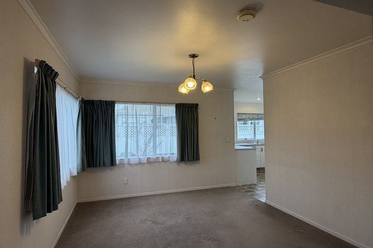 Photo of property in 127 Clarkin Road, Fairfield, Hamilton, 3214