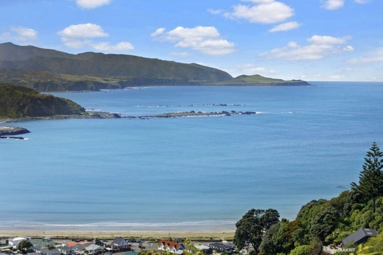 Photo of property in 38 Hornsey Road, Melrose, Wellington, 6023