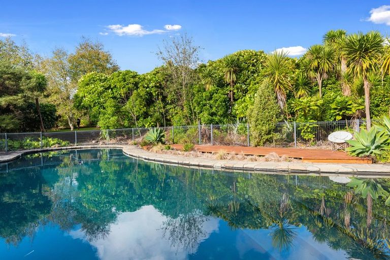 Photo of property in 137 Shelly Beach Road, Shelly Beach, Helensville, 0874