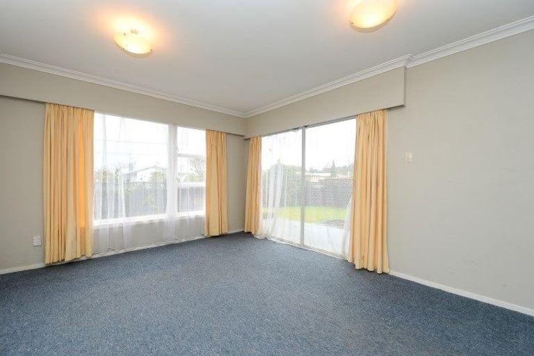 Photo of property in 141 Fitzroy Avenue, Fitzroy, Hamilton, 3206