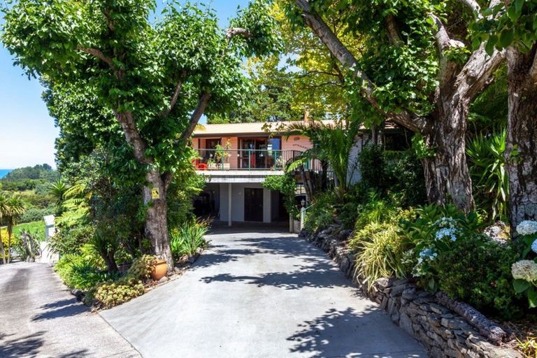 Photo of property in 444 Onemana Drive, Onemana, Whangamata, 3691