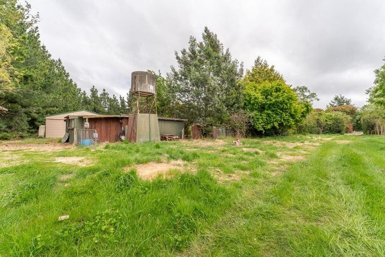 Photo of property in 52 Levels Plain Road, Levels, Timaru, 7975