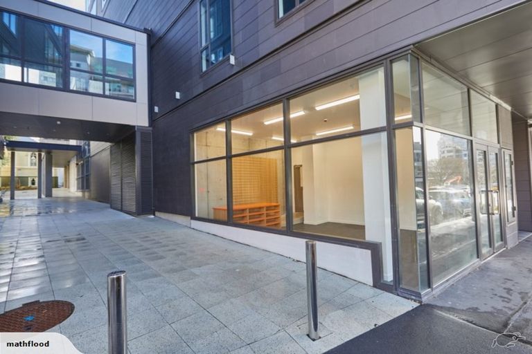 Photo of property in Vsp Nothern Tower, 1/166c Victoria Street, Te Aro, Wellington, 6011