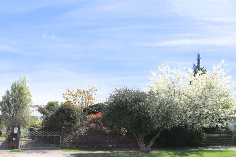 Photo of property in 21b King Street, Victoria, Rotorua, 3010