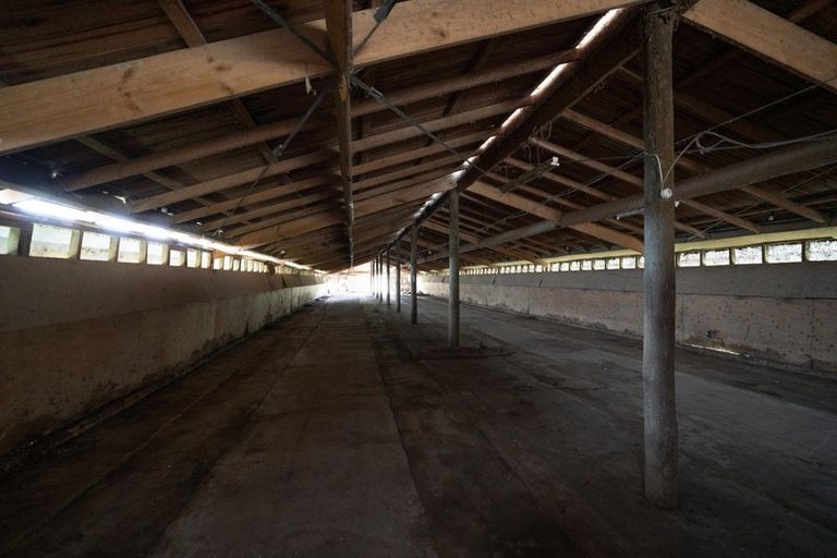 Photo of property in 294 Stockgrove Road, Glasnevin, Amberley, 7482