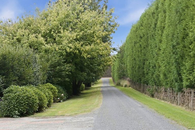 Photo of property in 151a Hereford Road, Oropi, Tauranga, 3173