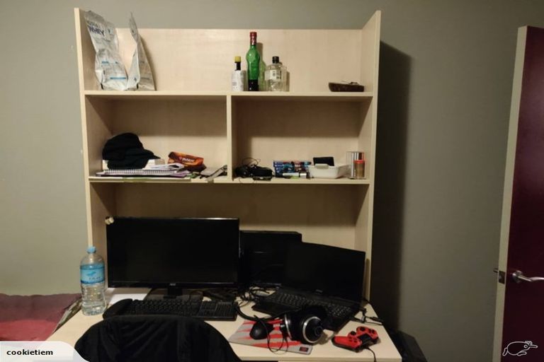 Photo of property in City Lodge, 509/115 Vivian Street, Te Aro, Wellington, 6011