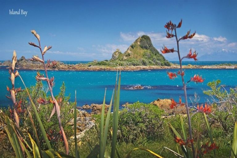 Photo of property in 26 Brighton Street, Island Bay, Wellington, 6023