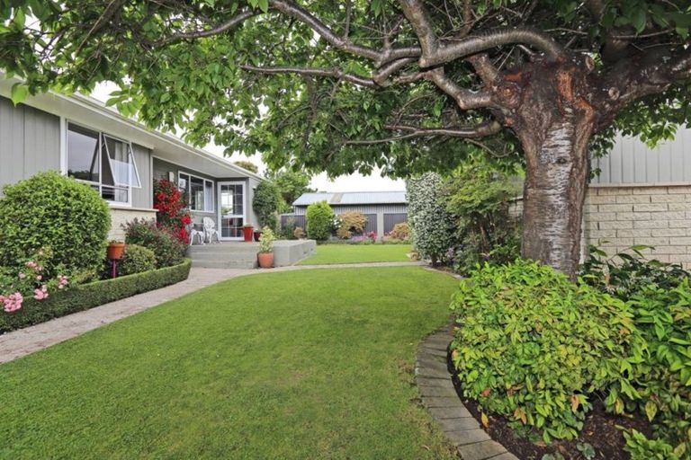 Photo of property in 229a Kenilworth Road, Mayfair, Hastings, 4122