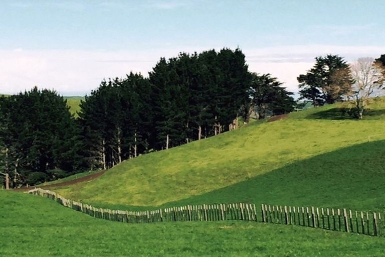 Photo of property in 104 Te Papatapu Road, Raglan, 3296