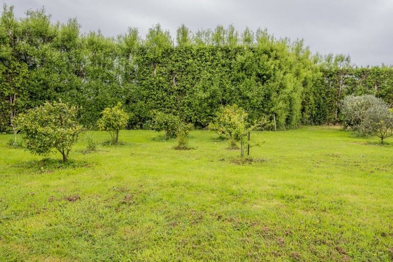 Photo of property in 71 Whelans Road, Levin, 5571