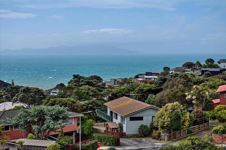 Photo of property in 19 Puketai Place, Pukerua Bay, 5026