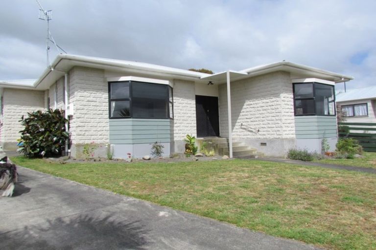 Photo of property in 7 Douglas Street, Levin, 5510