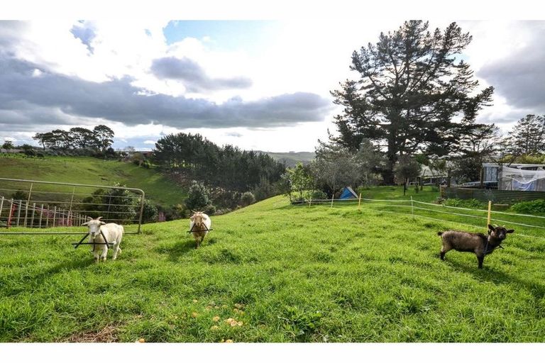 Photo of property in 335 Takou Bay Road, Kaeo, Kerikeri, 0295