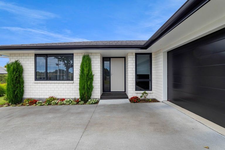 Photo of property in 397a Tukapa Street, Hurdon, New Plymouth, 4310
