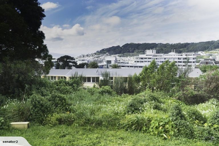 Photo of property in 3/22 Hargreaves Street, Mount Cook, Wellington, 6021