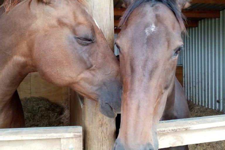 Photo of property in 64 Brown Road, Hakaru, Kaiwaka, 0573