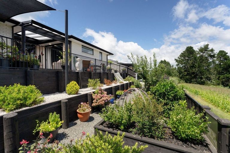 Photo of property in 20 Kirk Lane, Ohauiti, Tauranga, 3112