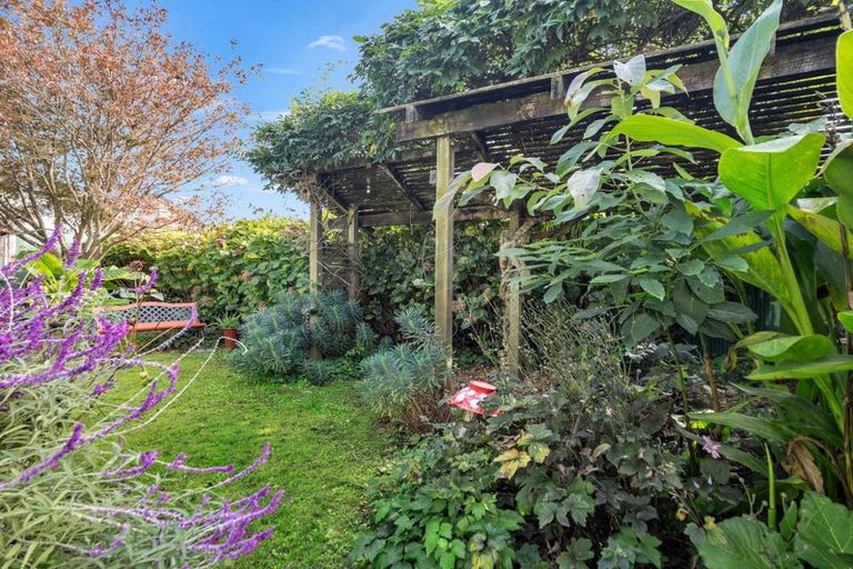 Photo of property in 28a Grosvenor Street, Cambridge, 3434