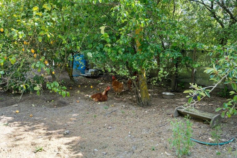 Photo of property in 438 Matahiwi Road, Matahiwi, Masterton, 5888