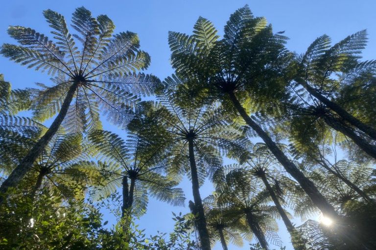 Photo of property in 35 Hume Road, Aongatete, 3181