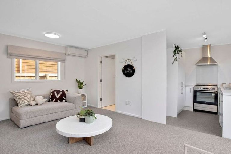 Photo of property in 155a Rosetta Road, Raumati South, Paraparaumu, 5032