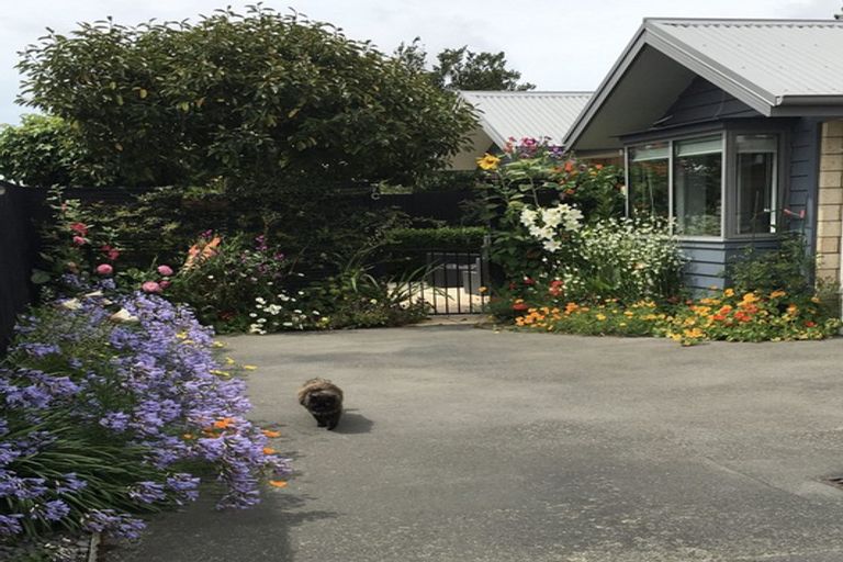 Photo of property in 7c Darroch Street, Belfast, Christchurch, 8051