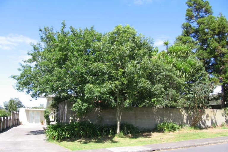 Photo of property in 25 Castleton Street, Birkdale, Auckland, 0626