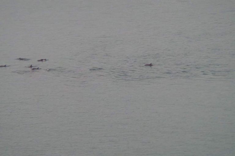 Photo of property in 27 View Road, Houghton Bay, Wellington, 6023