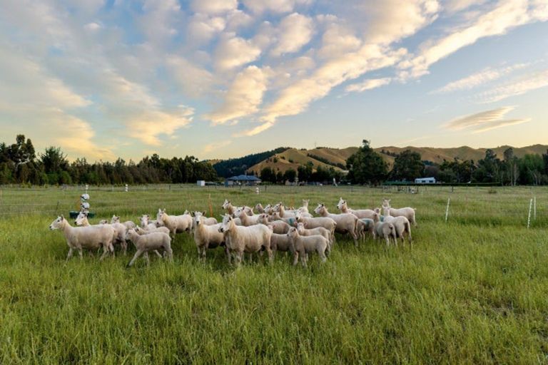 Photo of property in 136 Hardings Road, Riverlands, Blenheim, 7274