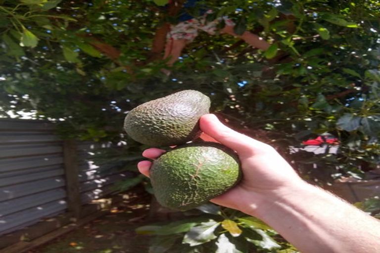 Photo of property in 206 Powderham Street, New Plymouth, 4310