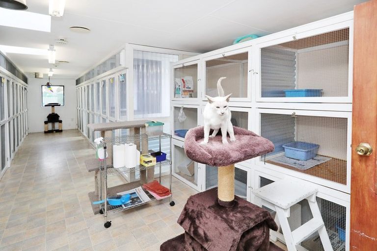 Photo of property in 9 Tui Place, Otatara, Invercargill, 9879