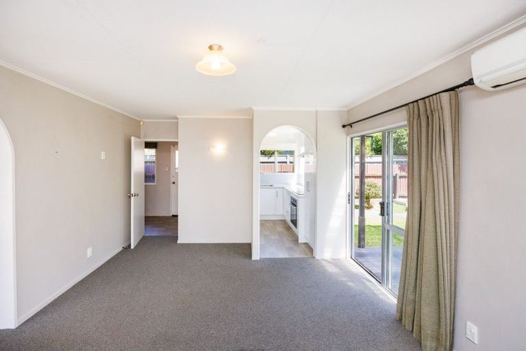 Photo of property in 146e Victoria Avenue, Hokowhitu, Palmerston North, 4410