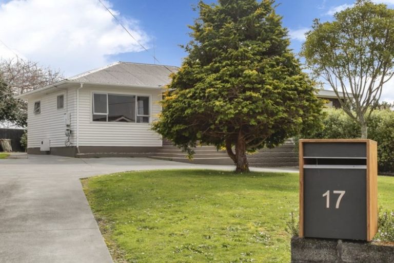 Photo of property in 17 Clyde Street, Ferndale, New Plymouth, 4310