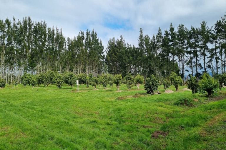 Photo of property in 146 Browns Road, Kaikohe, 0474