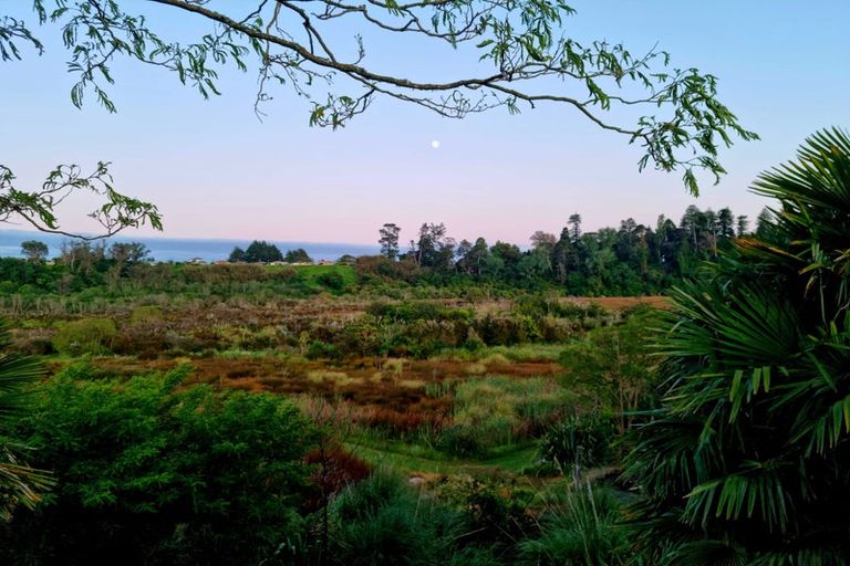 Photo of property in 142 Windermere Drive, Poike, Tauranga, 3112