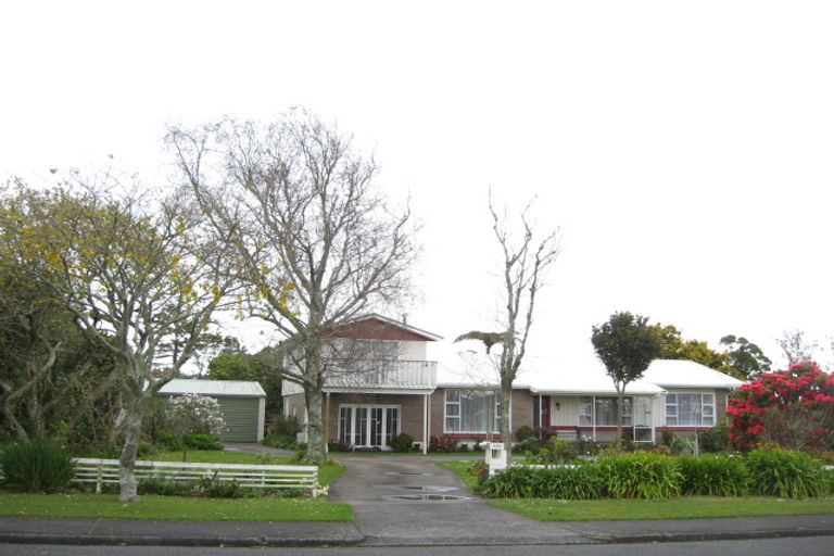Photo of property in 222 Huatoki Street, Upper Vogeltown, New Plymouth, 4310