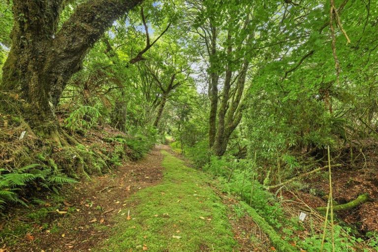 Photo of property in 488 Tapuwae Road, Maniaiti / Benneydale, Te Kuiti, 3987