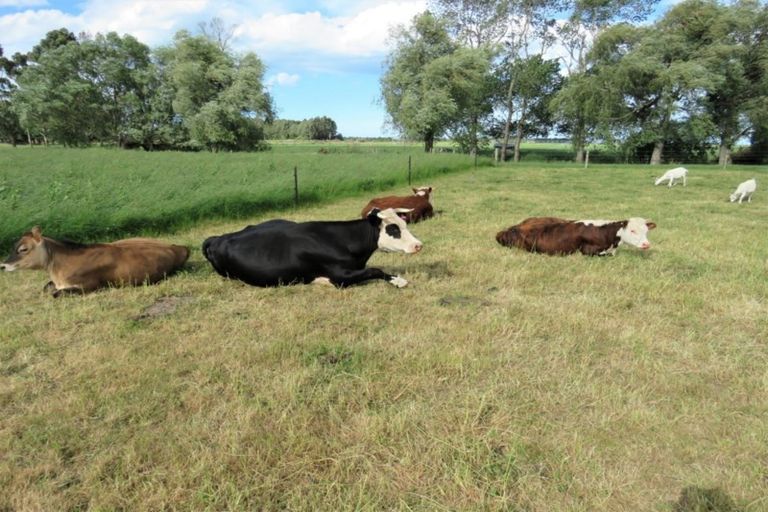 Photo of property in 236 Biggs Road, Richmond, Oamaru, 9493