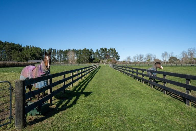 Photo of property in 146 French Pass Road, Cambridge, 3496