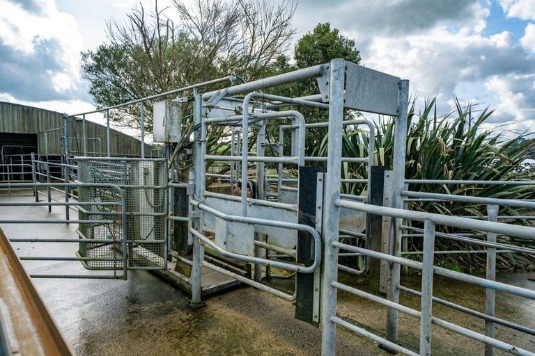 Photo of property in 99 Livingstone Road, Ngahinapouri, Hamilton, 3290