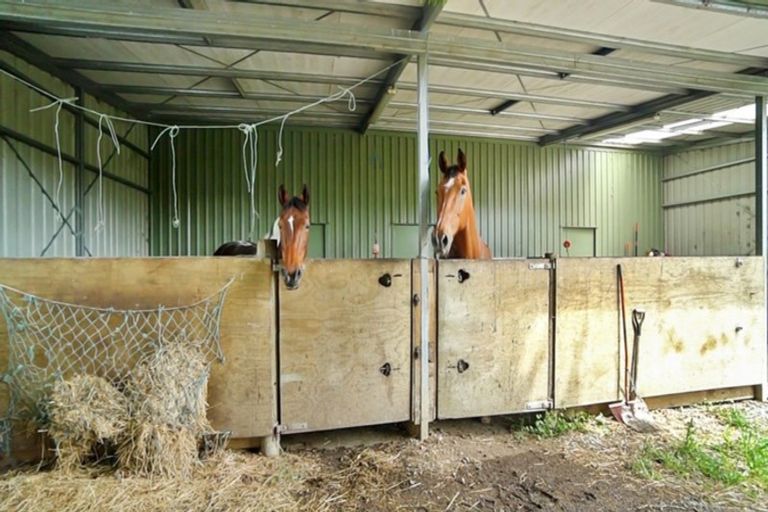 Photo of property in 131 Starkey Road, Morrinsville, 3371