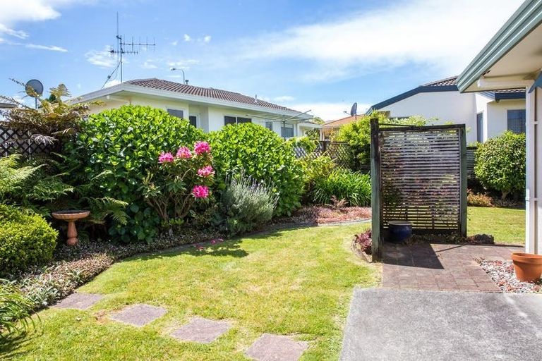 Photo of property in 26 Racecourse Way, Gate Pa, Tauranga, 3112