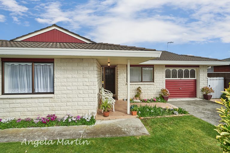Photo of property in 30 Fitzroy Street, Terrace End, Palmerston North, 4410