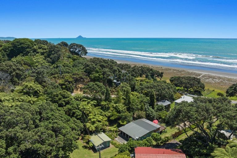 Photo of property in 233 Ohiwa Beach Road, Waiotahe, Opotiki, 3198