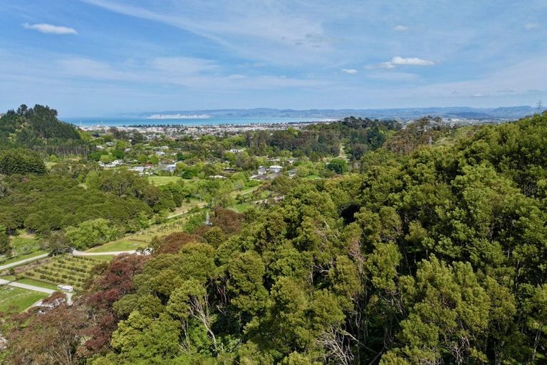 Photo of property in 58a Dryden Street, Whataupoko, Gisborne, 4010