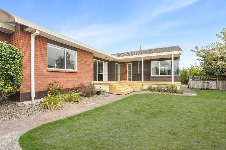 Photo of property in 31 Hastings Place, Hamilton Lake, Hamilton, 3204