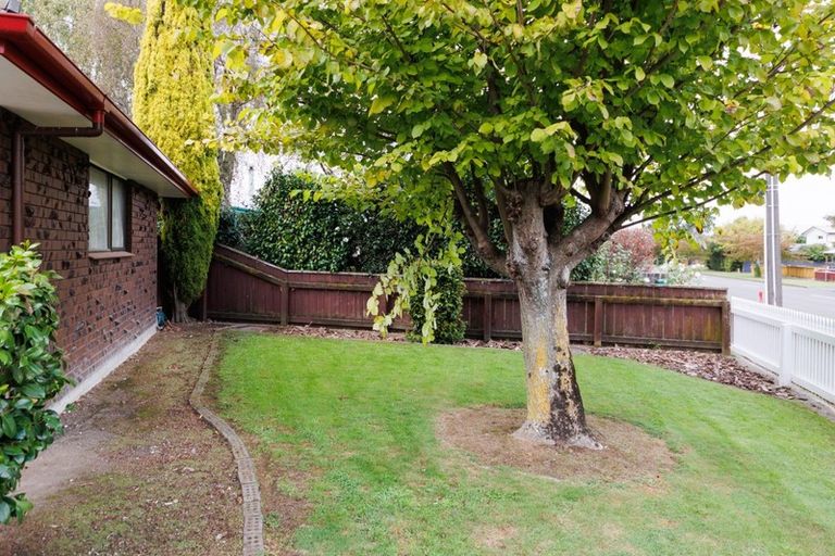 Photo of property in 138 Winchester Street, Ashhurst, 4810