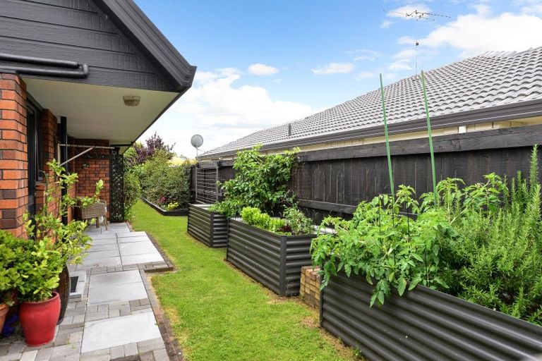 Photo of property in 17 Cherrywood Street, Pukete, Hamilton, 3200